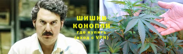 сатива Гусиноозёрск