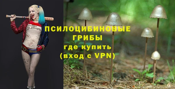 сатива Гусиноозёрск