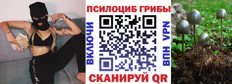 Галлюциногенные грибы Psilocybine cubensis  гидра как войти  Закаменск 